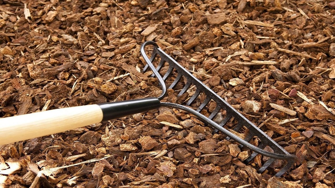 Lawn Care Essentials: Achieving a Professional Look with the Right Rake